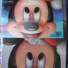 MIKKI HIIRI  - JOULU ANKKALINNASSA DVD - pikkukuva 4