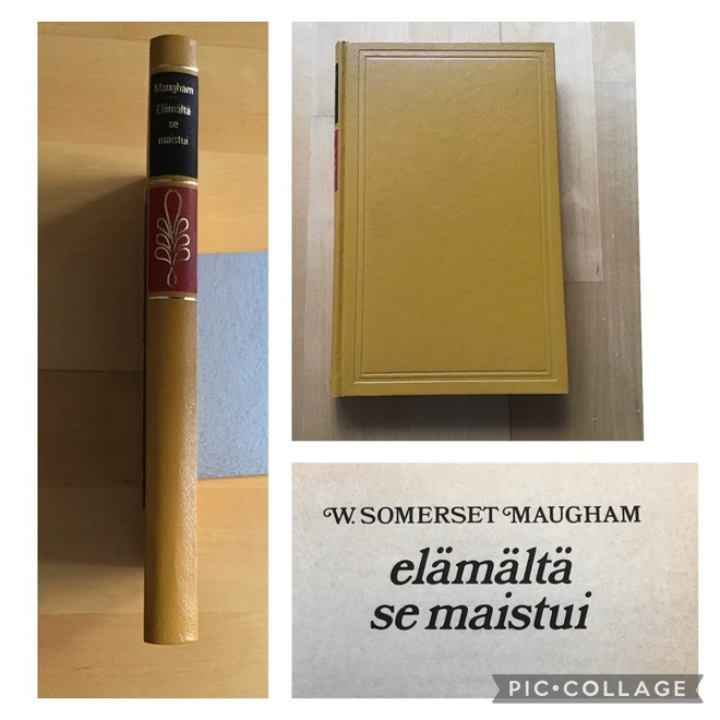 W. Somerset Maugham : Elämältä se maistui ( 1973 )