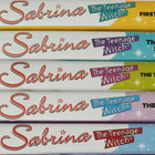 SABRINA: TEINI-IKÄINEN NOITA 1 - 5  DVD - pikkukuva 1