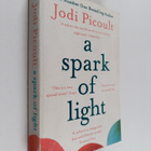 Jodi Picoult : A Spark of Light - pikkukuva 1
