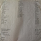Massimo Ranieri - Perdere L'Amore LP Vinyyli - pikkukuva 3