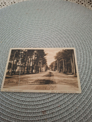 10Z Hanko
