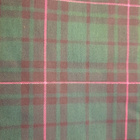 Vihreä ruudullinen ulkoilukangas 150x 90cm ja 240cm - pikkukuva 2