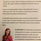 ISA MERIKALLIO: SUORITUSELÄMÄSTÄ MERKITYSELÄMÄÄN - pikkukuva 2