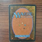 Magic the Gathering Snowblind - pikkukuva 2