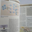 Evoluutio Kriittinen analyysi - pikkukuva 4