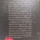 Annina Holmberg : Lumotut - pikkukuva 2