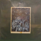 DEAD REPTILE SHRINE - BURNING BLACK INFINTY - EX+/M- 2LP - pikkukuva 2