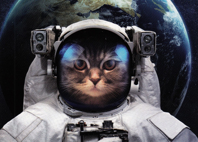 Vadim Sadovski: Kissa-astronautti