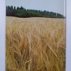 Leipäsiä leipomaan - pikkukuva 2