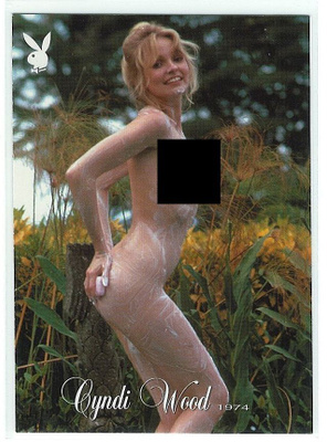 2003 Playboy Playmate of the Year #30 Cyndi Wood