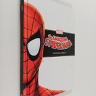 The amazing Spider-man : sankarin synty - pikkukuva 1