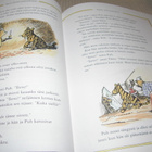 Milne - Shepard Nalle Puhin kertomuksia - pikkukuva 4
