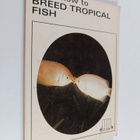 Know how to breed tropical fish - pikkukuva 1