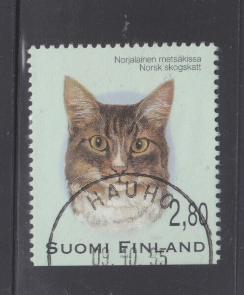 1995 Kissavihosta loistoleimainen. (4)