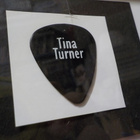 TINA TURNER NIMMARITAULU - pikkukuva 3