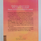 Taina Niemi : Ämpärikesä (signeerattu) - pikkukuva 2