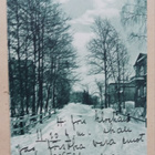 Helsinki, talvista Kaivopuistoa, huviloita, sinisävy p. 1906 - pikkukuva 1