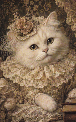 Tyylikäs valkoinen hienostokissa, hieno pitsikaulus