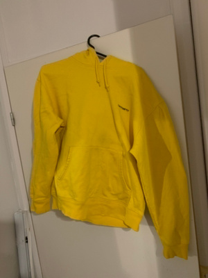 CARHARTT HOODED PUSEROT KOKO L