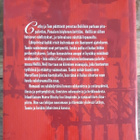 Maeve Binchy - Punaisen höyhenen keittiö - pikkukuva 2