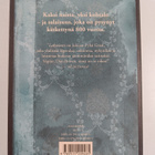 Kate Mosse : Labyrintti - pikkukuva 2