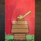 Charles M. Schultz: Pelko pois, Jaska Jokunen - pikkukuva 3