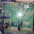 2LP Strangelove : Strangelove ( SIS POSTIKULU ) - pikkukuva 2