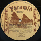 HEARTHILL Graveyard Party Blues ~ LP - pikkukuva 5
