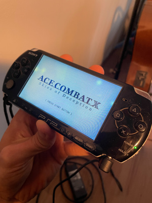 Psp 3004
