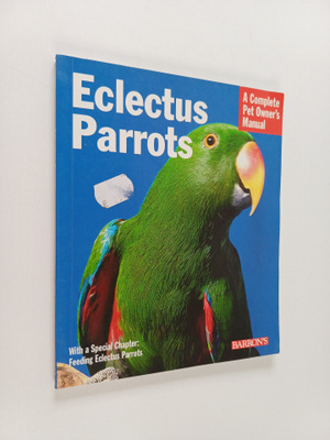 Katy McElroy : Eclectus Parrots