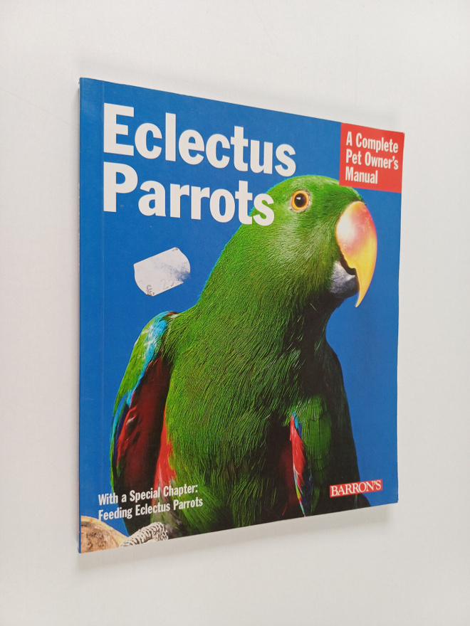 Katy McElroy : Eclectus Parrots