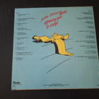MR. APE'S HOT TWENTY . LP - pikkukuva 2