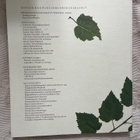 Laaksolahti - Pitkäjärven syleilyssä - pikkukuva 2