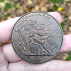 Suomen Taideyhdistyksen 50-vuotismitali v. 1896 - pikkukuva 2