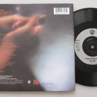 R.E.M. Tongue 7" vinyylisingle, numeroitu, liitevihko - pikkukuva 2