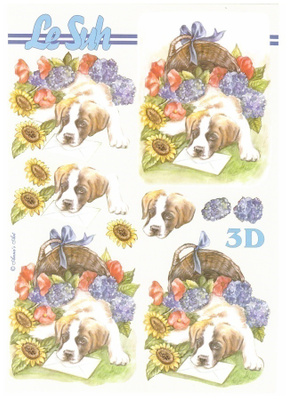 3D KUVA "KOIRA...KESÄKUKAT & KIRJEPOSTIA" /Le Suh