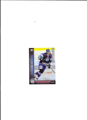 2010-11 KHL Cards #DIN22 Hannu Pikkarainen Dinamo Minsk
