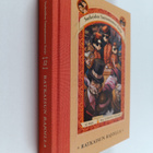 Lemony Snicket : Ratkaisun rajoilla - pikkukuva 1