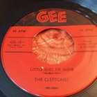 The Cleftones sinkku - pikkukuva 1