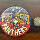 Florida Panthers isokokoinen NHL pinssi - pikkukuva 1