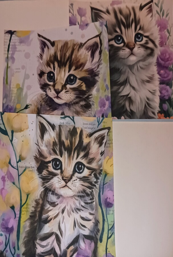 Kuviopaperit KISSAT / 3 kpl -setti / 15 x 15 cm