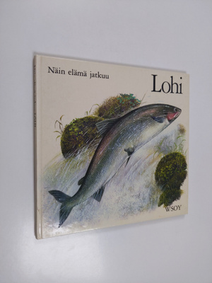 Pauline Baynes : Lohi