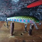 Rapala Sinking Rainbow 5cm - pikkukuva 1