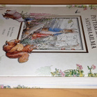Beatrix Potter : Petteri Kaniinin satumaailma - pikkukuva 2