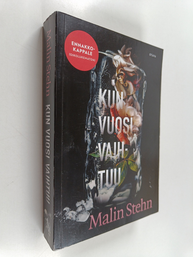 Malin Stehn : Kun vuosi vaihtuu (ennakkokappale)