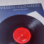 Andreas Vollenweider - Down To The Moon - pikkukuva 3