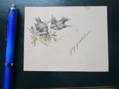 Koristekortti 1889 np