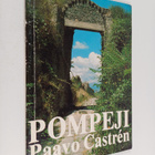 Paavo Castren : Pompeji - pikkukuva 1