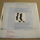 Wolfe Tones Dreams of home 7 45 Irlanti 1986 - pikkukuva 2